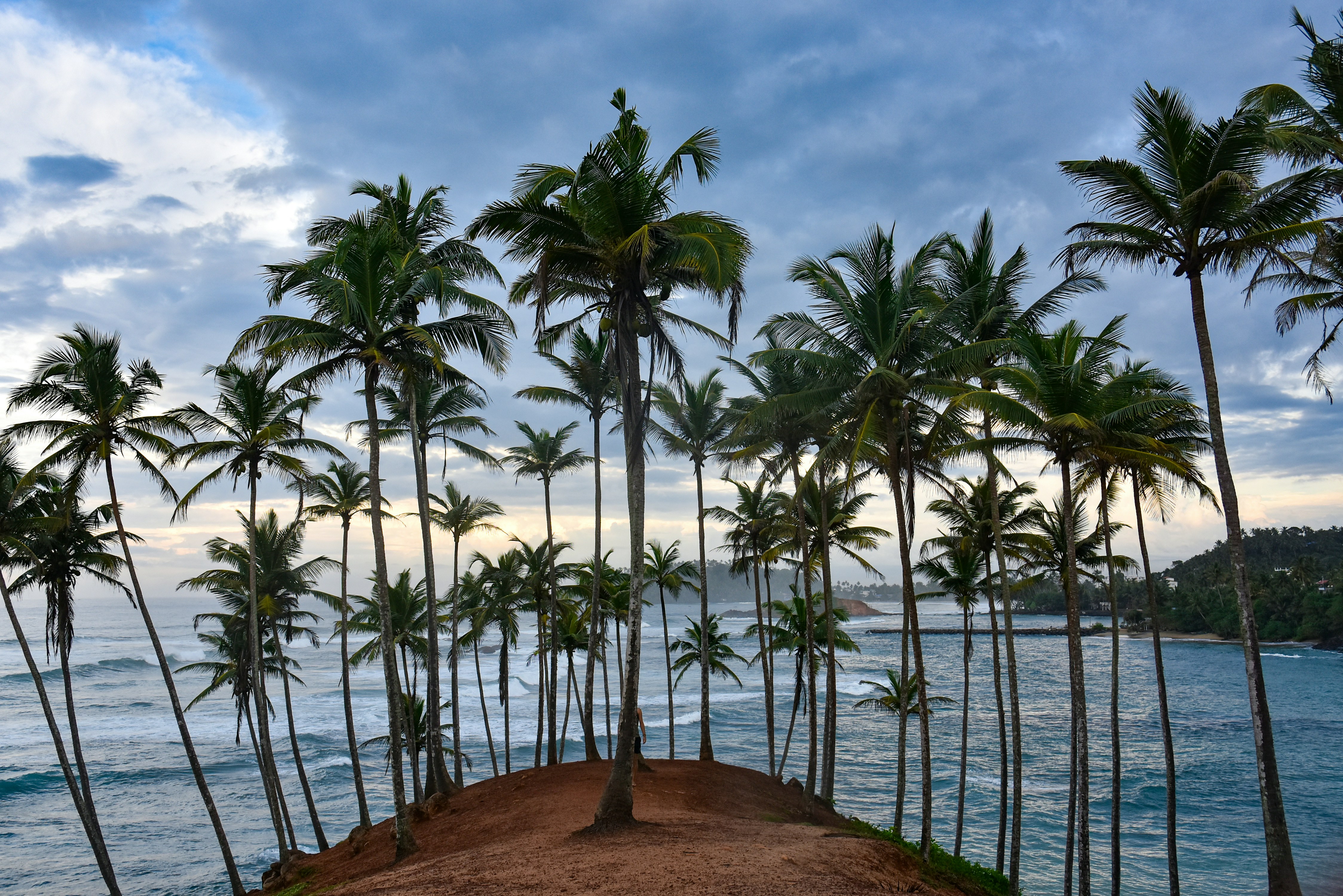 7 Days Sri Lanka Highlights photo 7